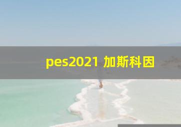 pes2021 加斯科因